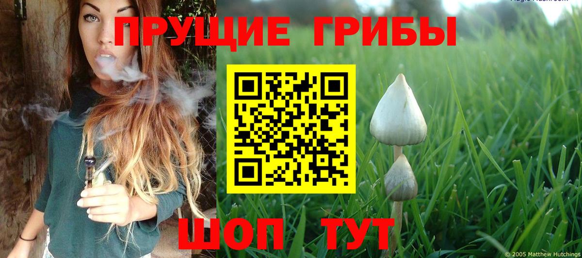 где продают   Вход с VPN  Оренбург  Галлюциногенные грибы ЛСД 