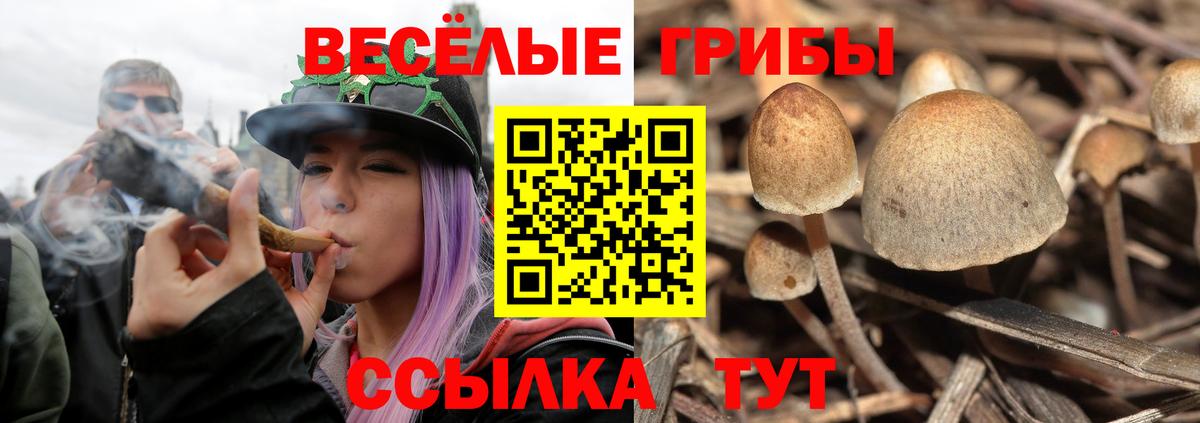 Галлюциногенные грибы ЛСД Оренбург